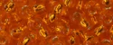(image for) TOHO Size 6/o Round Seed Bead-Hyacinth Orange Silver Lined 6T30B