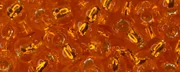 (image for) TOHO Size 6/o Round Seed Bead-Hyacinth Orange Silver Lined 6T30B