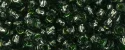 (image for) TOHO Size 6/o Round Seed Bead-Celery Green Silver Lined 6T2203