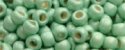 (image for) TOHO Size 6/o Round Seed Bead-Light Green Galvanized Matte PermaFinish 6TPF570F