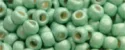 (image for) TOHO Size 6/o Round Seed Bead-Light Green Galvanized Matte PermaFinish 6TPF570F