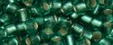 (image for) TOHO Size 8/o Round Seed Bead-Mint Green Silver Lined 8T24B