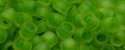 (image for) TOHO Aiko Precision Cylinder Bead. Lime Lined Jonquil Matte TB-306FM
