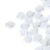 (image for) Czech Ginko/Ginkgo - Chalk Silver Splash * 10 Grams