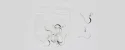 (image for) Silver Plate - Hammered Shepherds Hook Ear Wires with Bead * 5 Pair