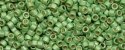 (image for) TOHO Aiko Precision Cylinder Bead. Lime Galvanized Matte PermaFinish TB-PF560F