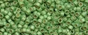 (image for) TOHO Aiko Precision Cylinder Bead. Lime Galvanized Matte PermaFinish TB-PF560F