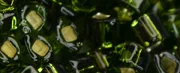 (image for) TOHO 3mm Cube Shape Seed Beads-Olivine Silver Lined