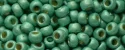 (image for) TOHO 11/o Round-Aqua Galvanized Matte PermaFinish. 11TPF561F