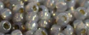 (image for) TOHO 11/o Round-Black Diamond Opal Silver Lined PermaFinish. 11TPF2115