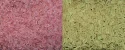 (image for) TOHO 11/o Round-Glow in the Dark Pink / Yellow Green. 11T2720