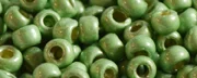 (image for) TOHO 8/o Round Seed Bead-Lime Galvanized Matte PermaFinish #8TPF560F