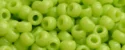 (image for) TOHO 8/o Round Seed Bead-Lime Opaque #8T44