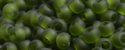 (image for) TOHO 8/o Round Seed Bead-Olivine Transparent Matte. 8T940F