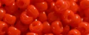 (image for) TOHO 11/o Round-Orange Opaque. 11T50