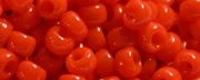(image for) TOHO 11/o Round-Orange Opaque. 11T50