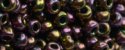 (image for) TOHO 8/o Round Seed Bead-Grapevine Iris Higher Metallic #8T509