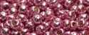 (image for) TOHO 8/o Round Seed Bead-Rose Galvanized PermaFinish #8TPF553