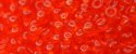 (image for) TOHO 11/o Round-Ruby Hyacinth Transparent. 11T5