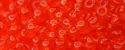 (image for) TOHO 11/o Round-Ruby Hyacinth Transparent. 11T5