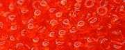 (image for) TOHO 11/o Round-Ruby Hyacinth Transparent. 11T5