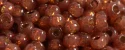 (image for) TOHO 15/o Round Seed Bead-Ruby Opal Silver Lined PermaFinish. 15TPF2113