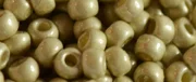 (image for) TOHO 8/o Round Seed Bead-Silver Galvanized Matte PermaFinish #8TPF558F