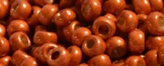 (image for) TOHO 8/o Round Seed Bead-Sun Burnt Orange Galvanized Matte PermaFinish #8TPF562F