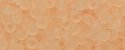 (image for) TOHO 15/o Round Seed Bead-Light Pink Transparent Matte. 15T11F