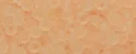 (image for) TOHO 15/o Round Seed Bead-Light Pink Transparent Matte. 15T11F