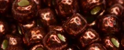 (image for) TOHO Size 6/o Round Seed Bead-Cabernet Galvanized PermaFinish 6TPF564