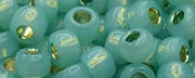 (image for) TOHO Size 6/o Round Seed Bead-Dark Mint Opal Silver Lined PermaFinish 6TPF2119