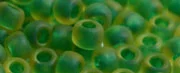 (image for) TOHO Size 6/o Round Seed Bead-Dark Green Lined Topaz Matte 6T242FM