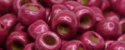 (image for) TOHO Size 6/o Round Seed Bead-Hot Pink Galvanized Matte PermaFinish 6TPF563F