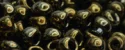 (image for) TOHO Size 6/o Round Seed Bead-Olive Brown Iris Metallic 6T83