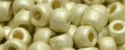 (image for) TOHO Size 6/o Round Seed Bead-Silver Galvanized Matte PermaFinish 6TPF558F