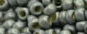(image for) TOHO 11/o Round-Silver Grey Galvanized Matte PermaFinish. 11TPF565F