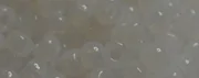 (image for) TOHO 8/o Round Seed Bead-White Translucent. 8T1141