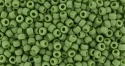 (image for) TOHO 8/o Round Seed Bead. Semi-Glazed Saguaro #8T2603F
