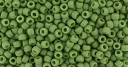 (image for) TOHO 15/o Round Seed Bead. Semi-Glazed Saguaro. 15T2603F