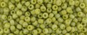 (image for) TOHO 8/o Round Seed Bead. Semi-Glazed Rainbow Prickly Pear #8T2630F
