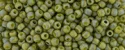(image for) TOHO 8/o Round Seed Bead. Semi-Glazed Rainbow Iguana #8T2631F