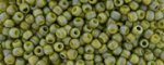 (image for) TOHO 8/o Round Seed Bead. Semi-Glazed Rainbow Iguana #8T2631F