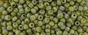 (image for) TOHO 8/o Round Seed Bead. Semi-Glazed Rainbow Iguana #8T2631F