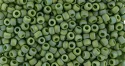 (image for) TOHO 15/o Round Seed Bead. Semi-Glazed Rainbow Saguaro. 15T2633F