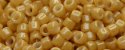 (image for) TOHO Aiko Precision Cylinder Bead. Butterscotch Opaque Luster TB-123D
