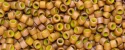 (image for) TOHO Aiko Precision Cylinder Bead. Mustard Lined Pink Iris Matte Luster TB-1626F