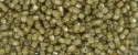 (image for) TOHO Aiko Hexagon Precision Cylinder Bead. Beige Lined Crystal TBC-369