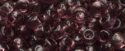 (image for) TOHO 11/o Round-Amethyst Transparent. 11T6B