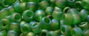 (image for) TOHO 11/o Round-Avocado Green Transparent Rainbow Matte. 11T167BF